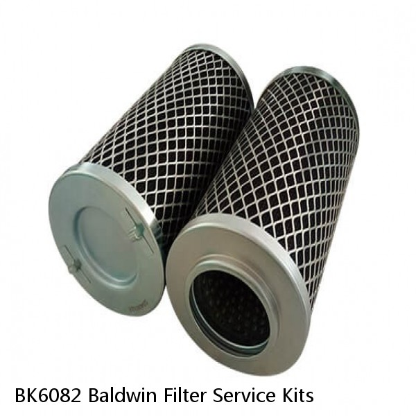 BK6082 Baldwin Filter Service Kits #1 small image