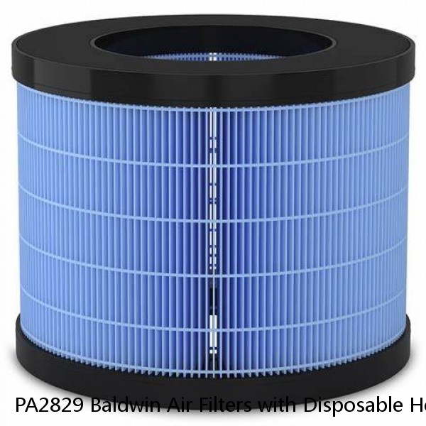 PA2829 Baldwin Air Filters with Disposable Housings #1 image