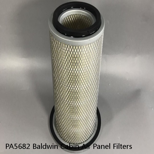 PA5682 Baldwin Cabin Air Panel Filters #1 image